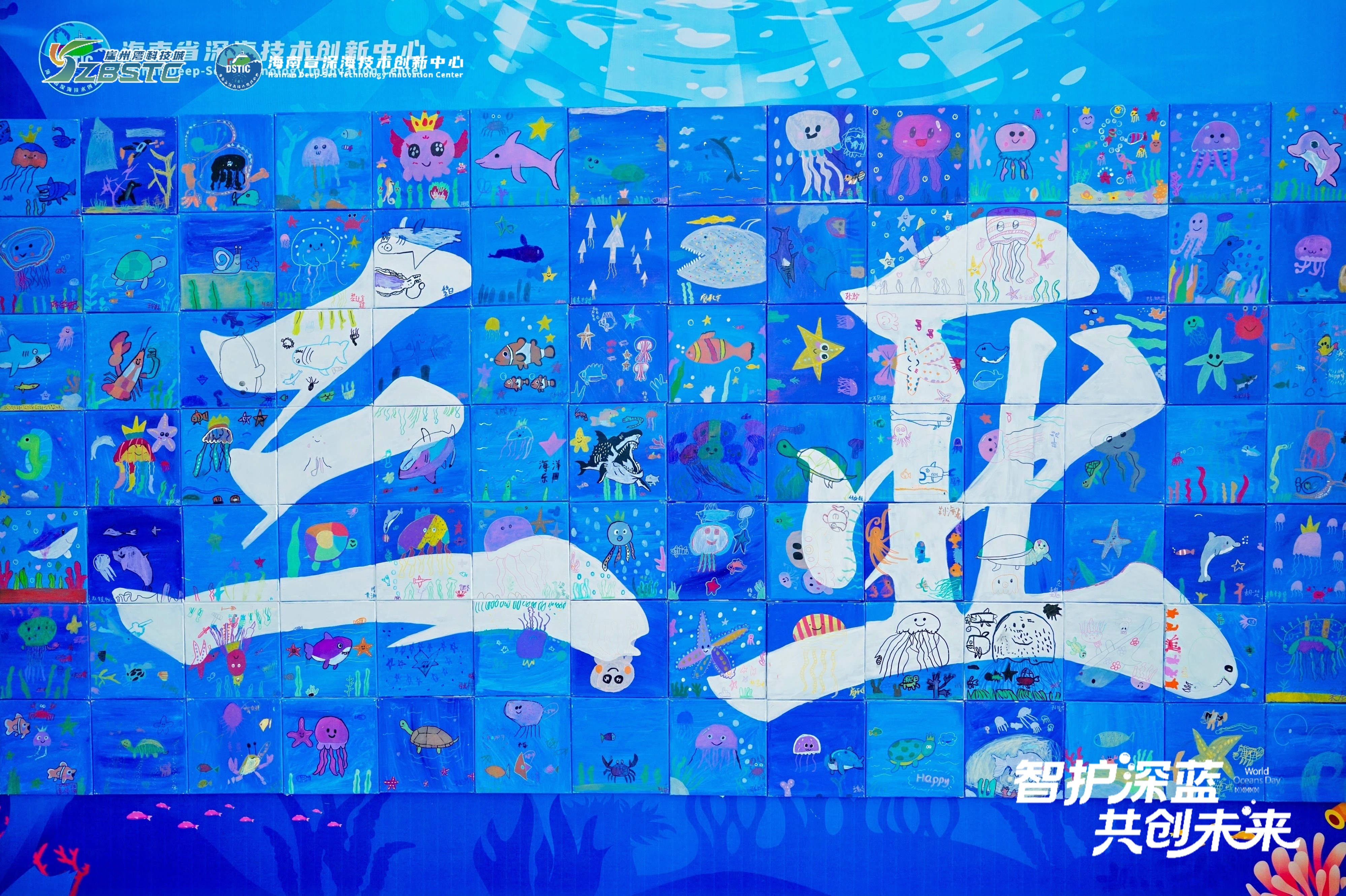 海南普惠海洋協(xié)辦“世界海洋日”活動圓滿落幕